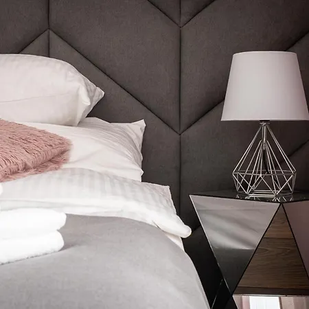公寓 Crystal Luxury Rakowicka 20h 克拉科夫